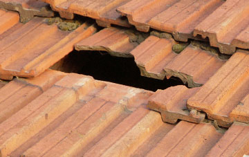 roof repair Llandenny, Monmouthshire